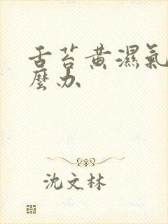 舌苔黄湿气重怎么办