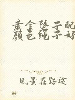 黄金坠子配什么颜色绳子好看