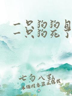 一只狗狗目睹另一只狗死了