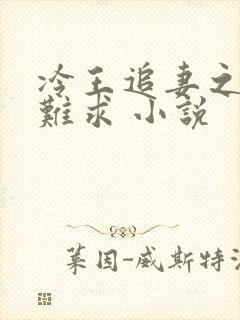 冷王追妻之医妃难求 小说