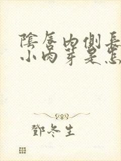 阴唇内侧长的有小肉芽是怎么回事