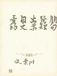 看日出发朋友圈的文案短句