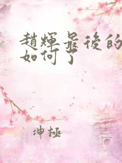 赵辉最后的结局如何了