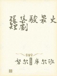 张集骏最火十部短剧