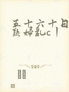 五十六十日本老熟妇乱c丨
