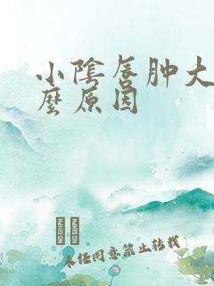 小阴唇肿大是什么原因