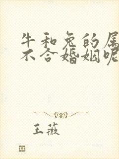 牛和兔的属相合不合婚姻呢