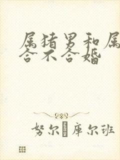 属猪男和属鸡女合不合婚