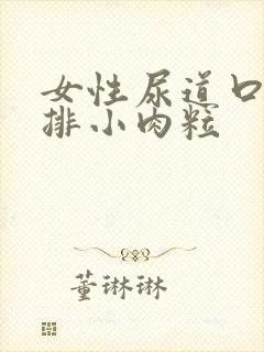 女性尿道口有一排小肉粒