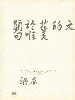 关于花的文案短句唯美