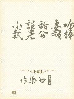 小说甜妻吻安总裁老公超棒的