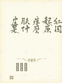 皮肤痒起红疙瘩是什么原因