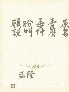 顾盼垂青原著小说叫什么名字