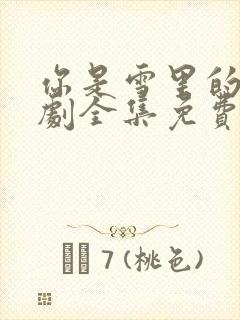 你是雪里的光短剧全集免费观看