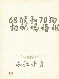 68猴和70狗相配吗婚姻