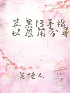 苹果13手机可以应用分身吗微信