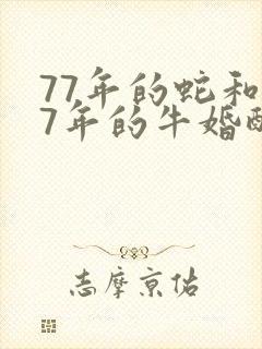 77年的蛇和97年的牛婚配
