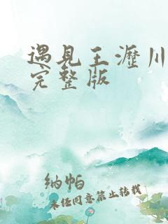 遇见王沥川全集完整版