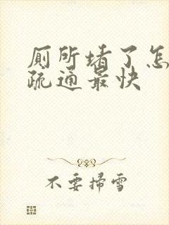 厕所堵了怎么办疏通最快