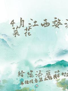 4月江西婺源油菜花