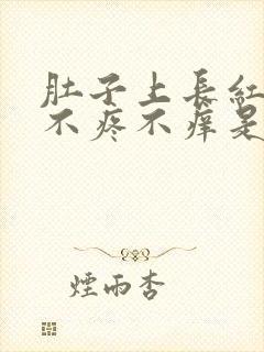 肚子上长红疙瘩不疼不痒是什么原因