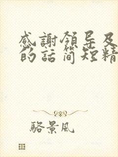 感谢领导及团队的话简短精辟