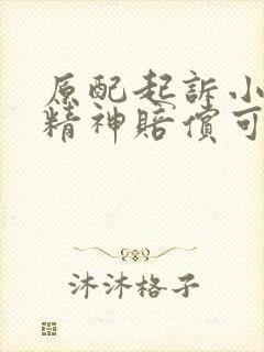 原配起诉小三要精神赔偿可以吗