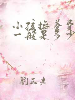 小孩抚养费标准一般是多少钱一个月