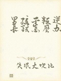 男孩子叛逆期家长该怎么办