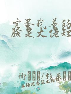 完蛋我养的小白脸是大佬短剧结局