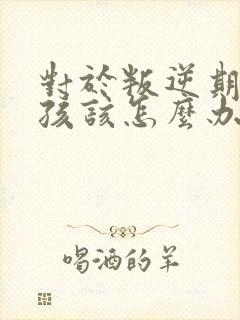 对于叛逆期的男孩该怎么办