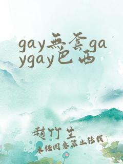gay无套gaygay巴西