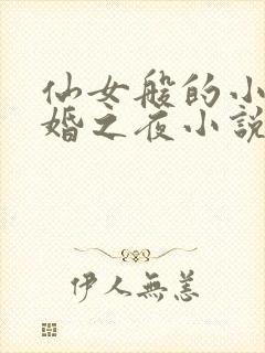 仙女般的小姨新婚之夜小说