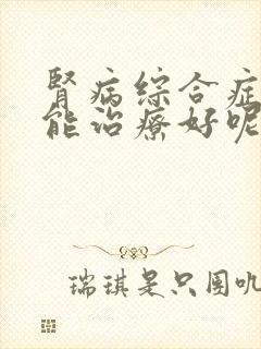 肾病综合症能不能治疗好呢