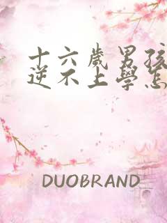 十六岁男孩太叛逆不上学怎么办