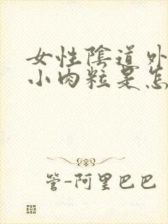 女性阴道外面起小肉粒是怎么回事