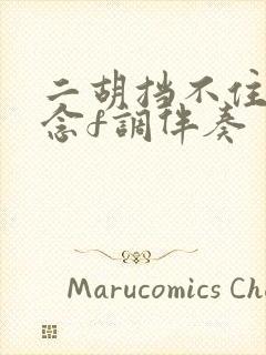 二胡挡不住的思念f调伴奏