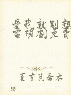 爱我就别想太多电视剧免费观看集