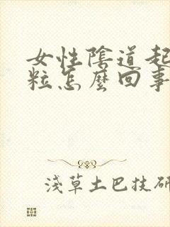 女性阴道起了肉粒怎么回事