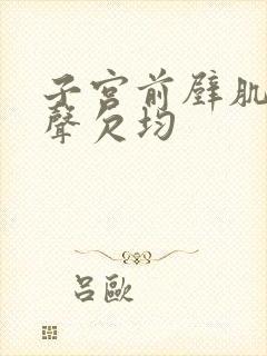 子宫前壁肌层回声欠均