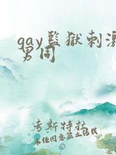 gay监狱刺激男同