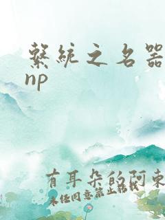 系统之名器攻略np