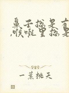 鼻子总是有鼻涕,喉咙里总是有痰怎么办