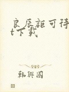 良辰讵可待txt下载