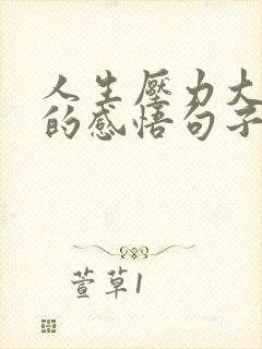 人生压力大很累的感悟句子