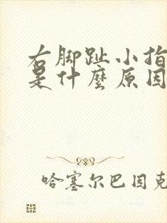 右脚趾小指发麻是什么原因