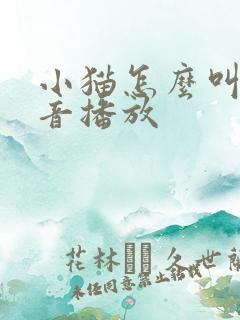 小猫怎么叫的声音播放