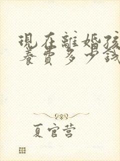 现在离婚孩子抚养费多少钱一个月