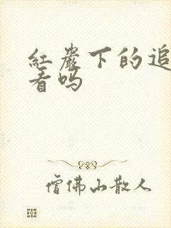 红岩下的追捕好看吗