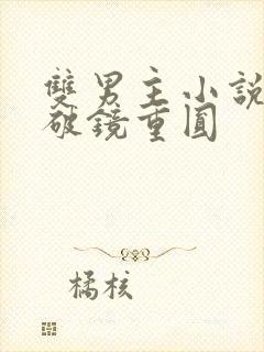 双男主小说推荐破镜重圆